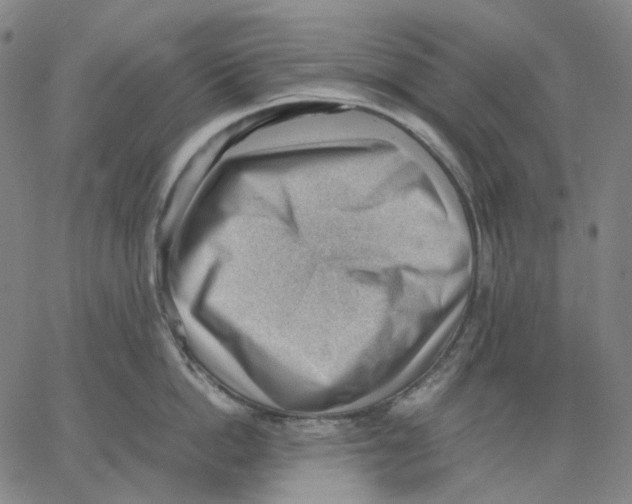 X0000062600862200601181603