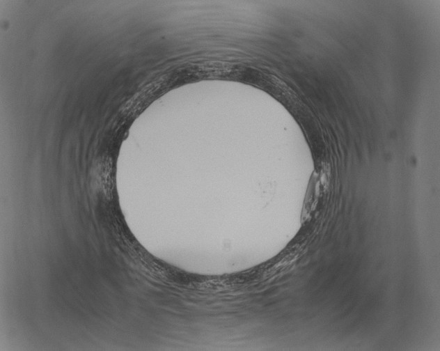 X0000062600867200601181602