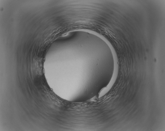 X0000062600868200601181602