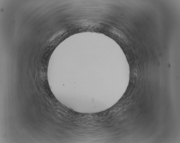 X0000062600869200601181602