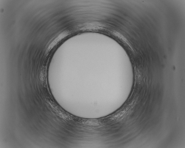 X0000062600874200601181602