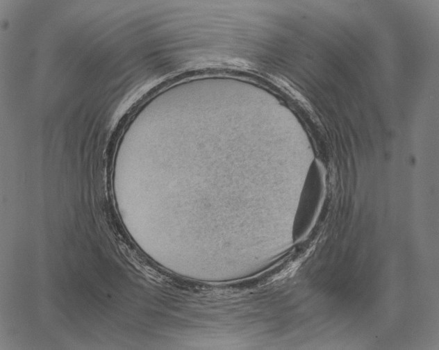 X0000062600877200601181602