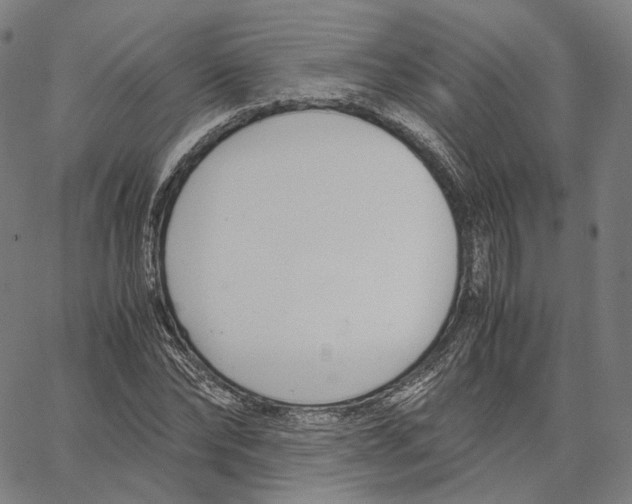 X0000062600878200601181602