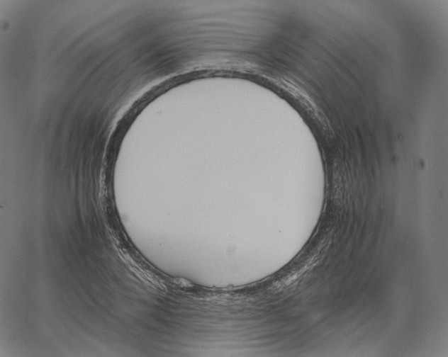 X0000062600880200601181602
