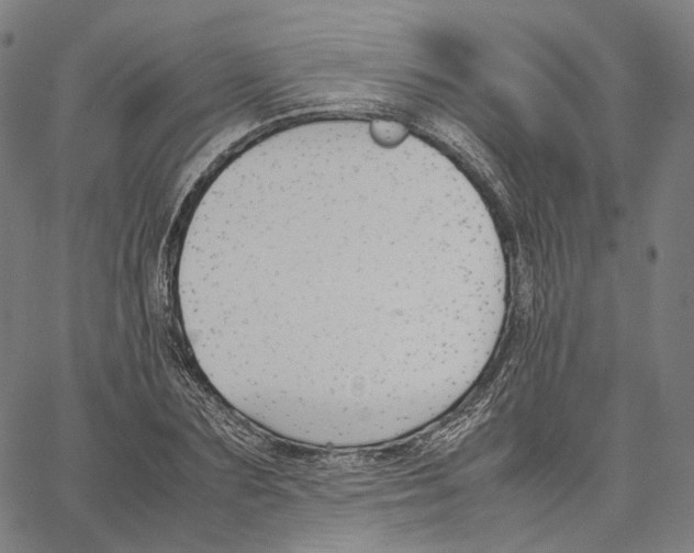 X0000062600883200601181602