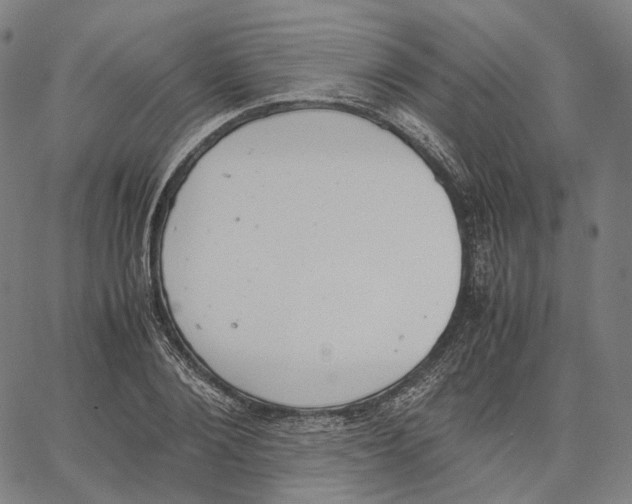 X0000062600884200601181602