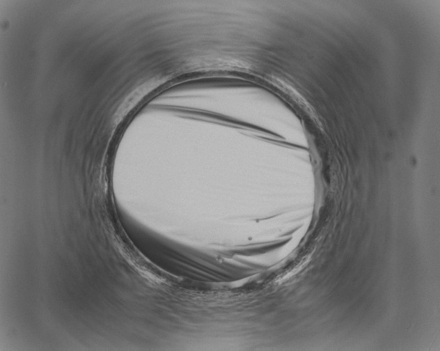 X0000062600885200601181602