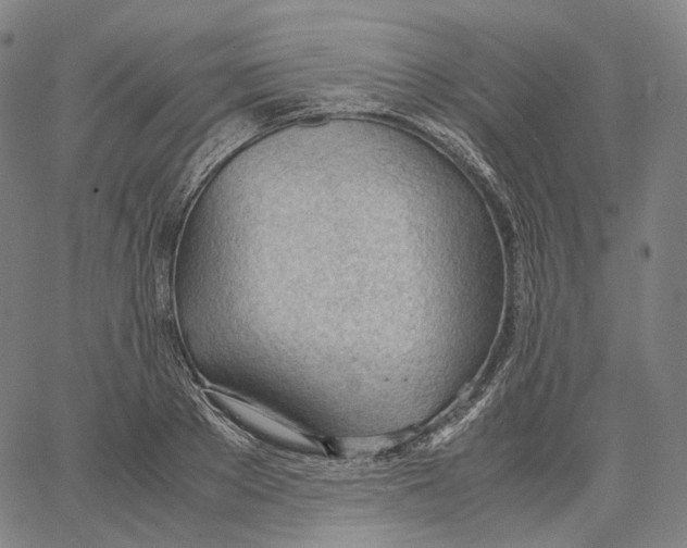X0000062600889200601181601