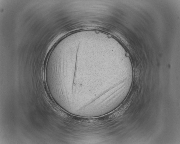 X0000062600891200601181601