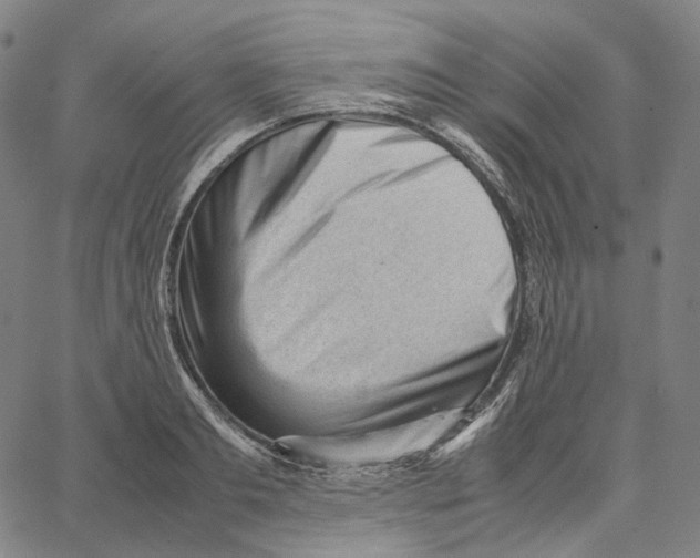 X0000062600893200601181601