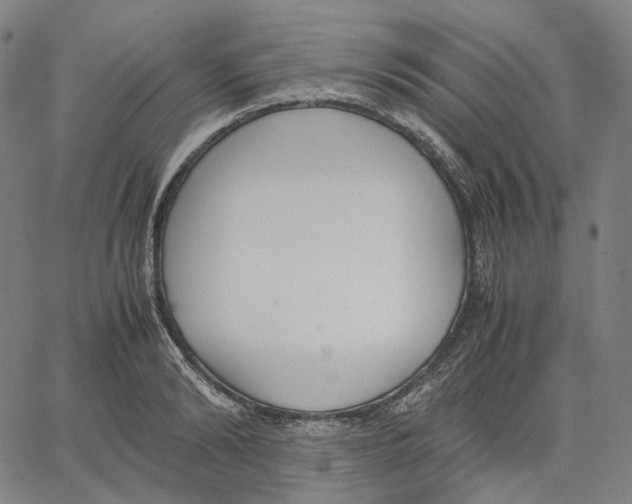 X0000062600894200601181601