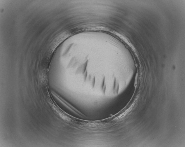X0000062600897200601181601