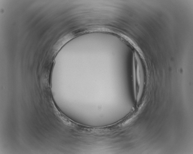 X0000062600905200601181601