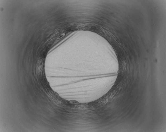 X0000062600914200601181600