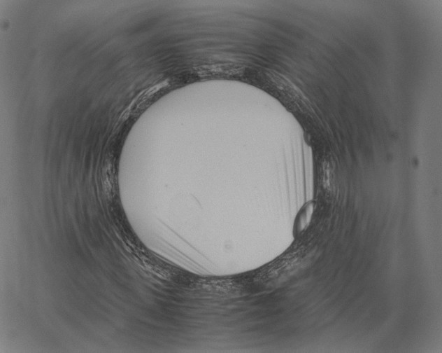X0000062600915200601181600