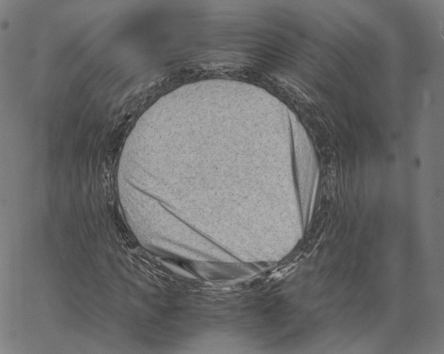 X0000062600917200601181600