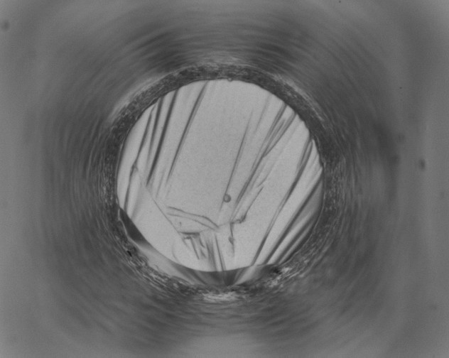 X0000062600919200601181600