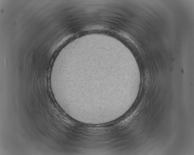 X0000062600921200601181600