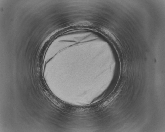 X0000062600923200601181600