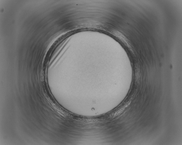X0000062600924200601181601