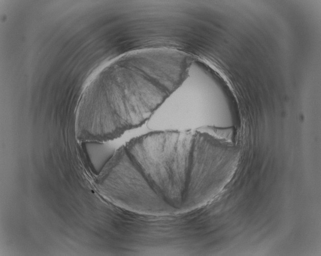 X0000062600925200601181601