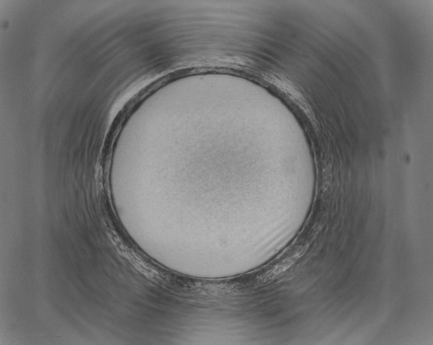 X0000062600928200601181601