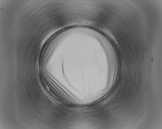 X0000062600936200601181601