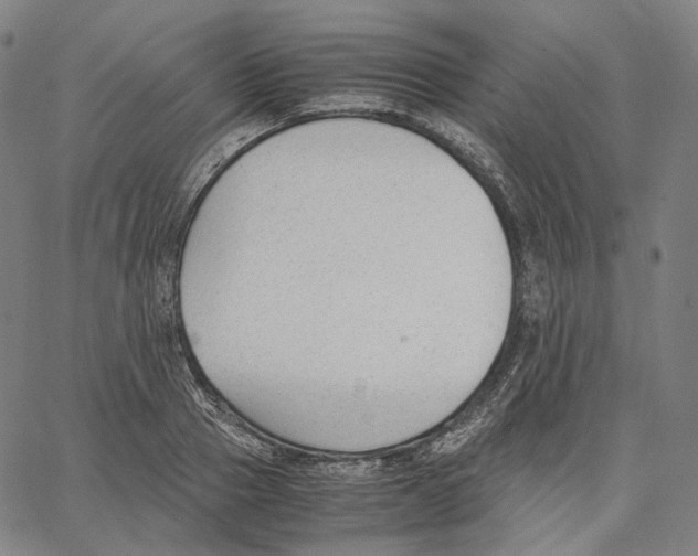 X0000062600937200601181601