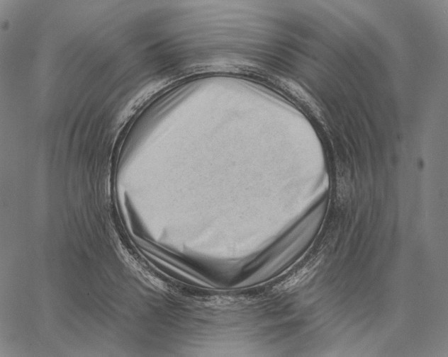 X0000062600938200601181601