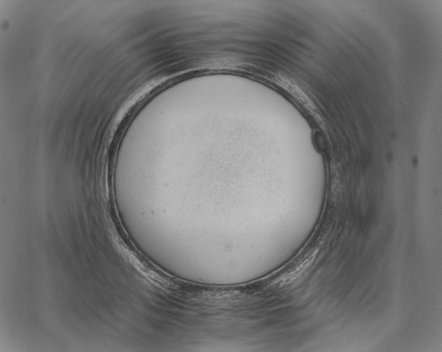 X0000062600939200601181601