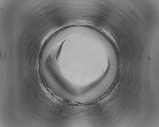 X0000062600944200601181601