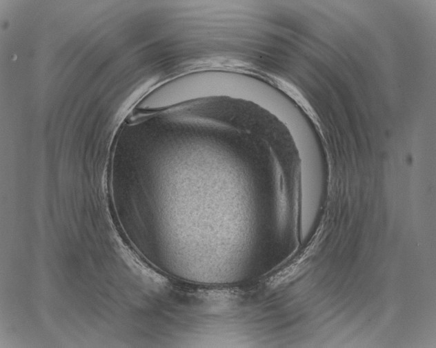 X0000062600946200601181601