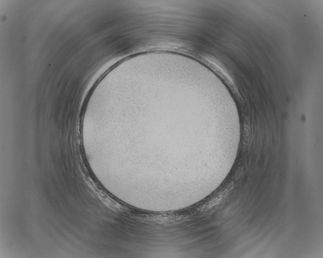 X0000062600948200601181601