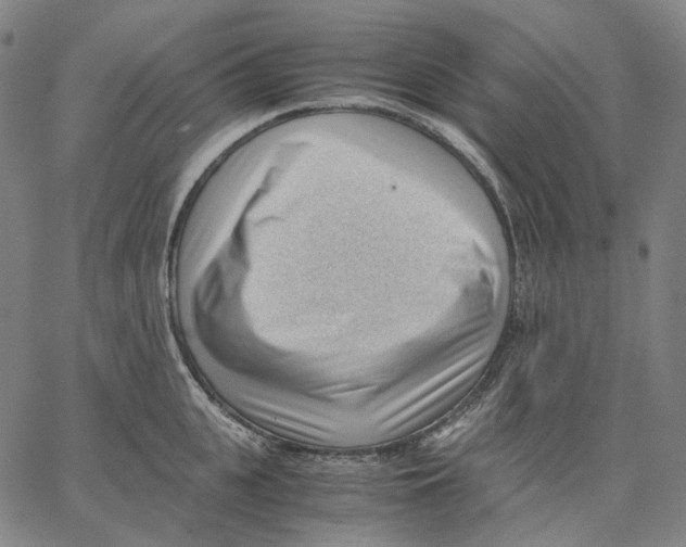 X0000062600951200601181601