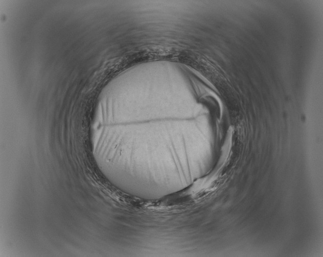 X0000062600961200601181600