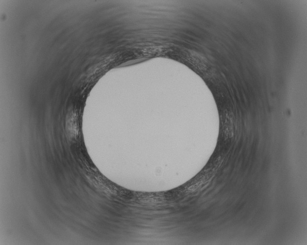 X0000062600962200601181600