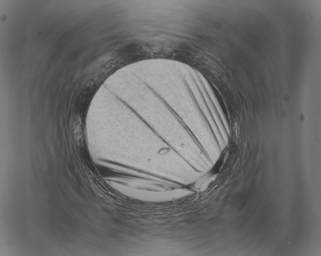 X0000062600963200601181600