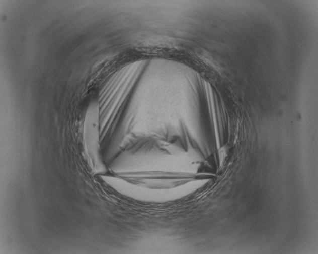 X0000062600965200601181600