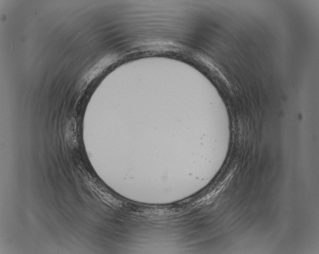 X0000062600970200601181600