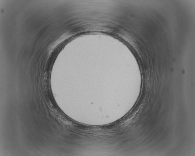 X0000062600971200601181600