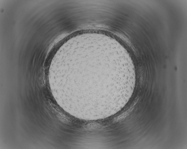 X0000062600974200601181600
