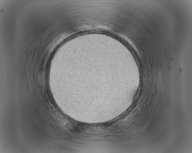 X0000062600975200601181600