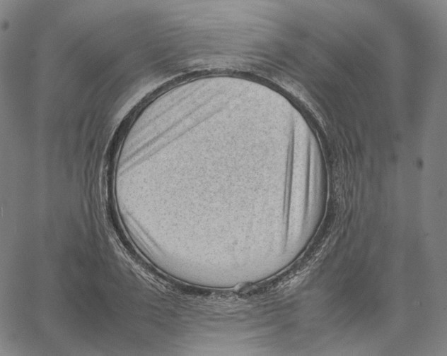 X0000062600983200601181600