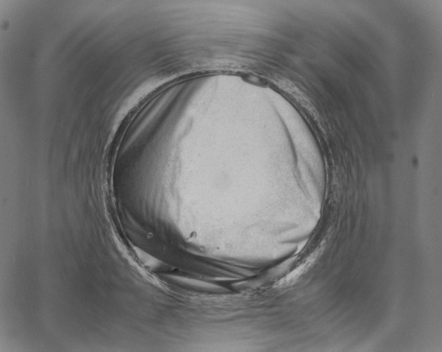 X0000062600989200601181600