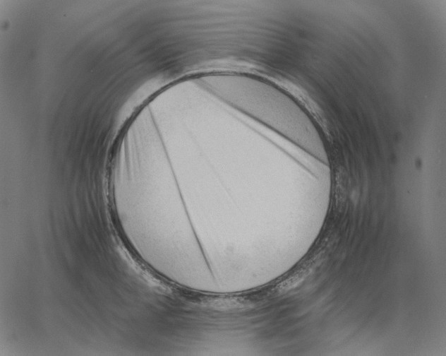 X0000062600998200601181600