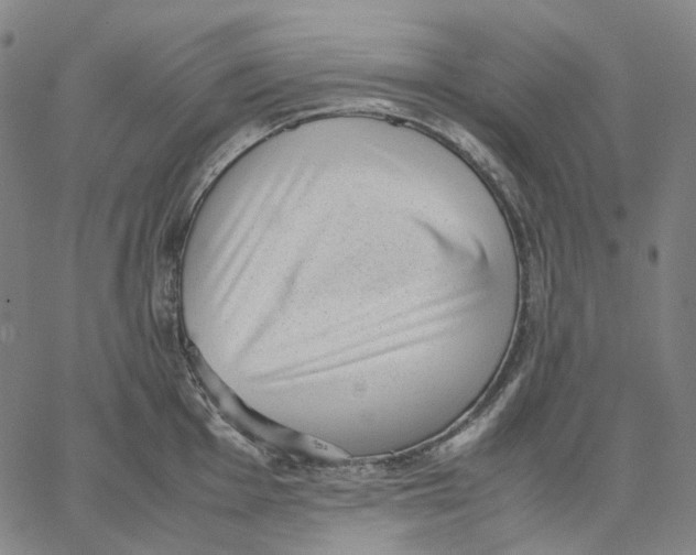 X0000062601001200601181600