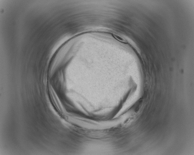X0000062601007200601181600