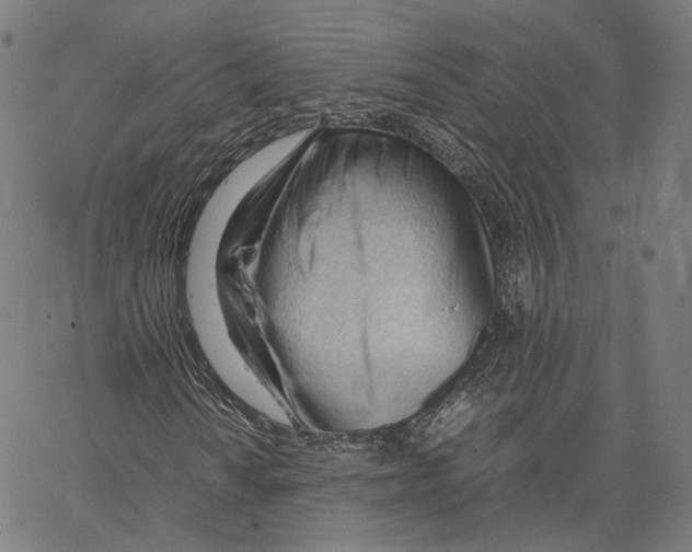 X0000062601010200601181559