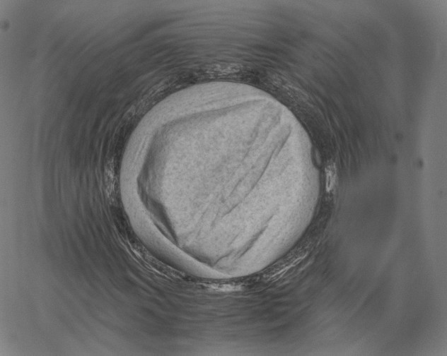 X0000062601011200601181559