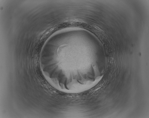 X0000062601014200601181559